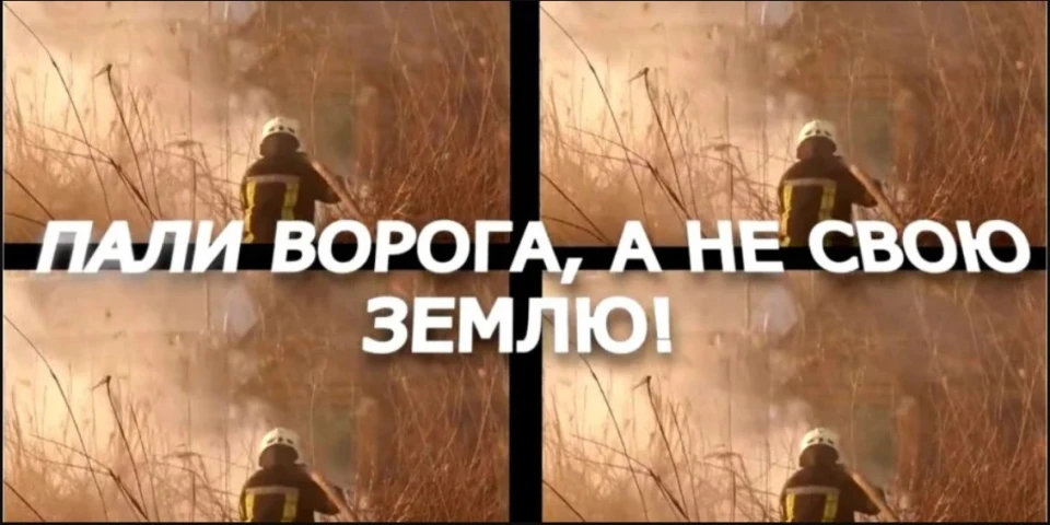 палії трави