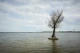 Каховське водосховище