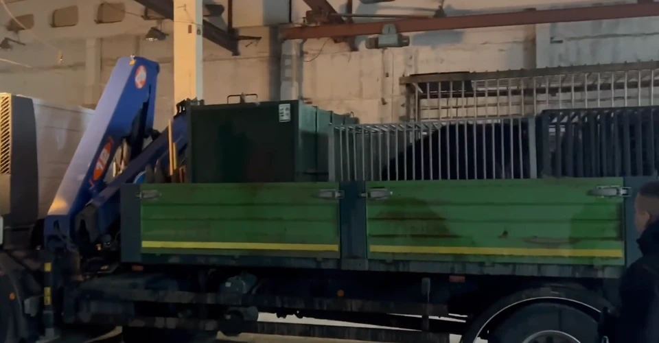 з Фельдман Екопарк евакуювали усіх тварин