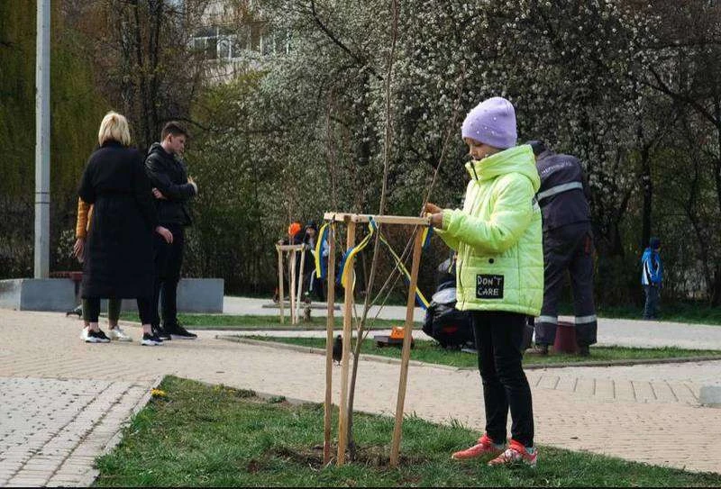 Сакура