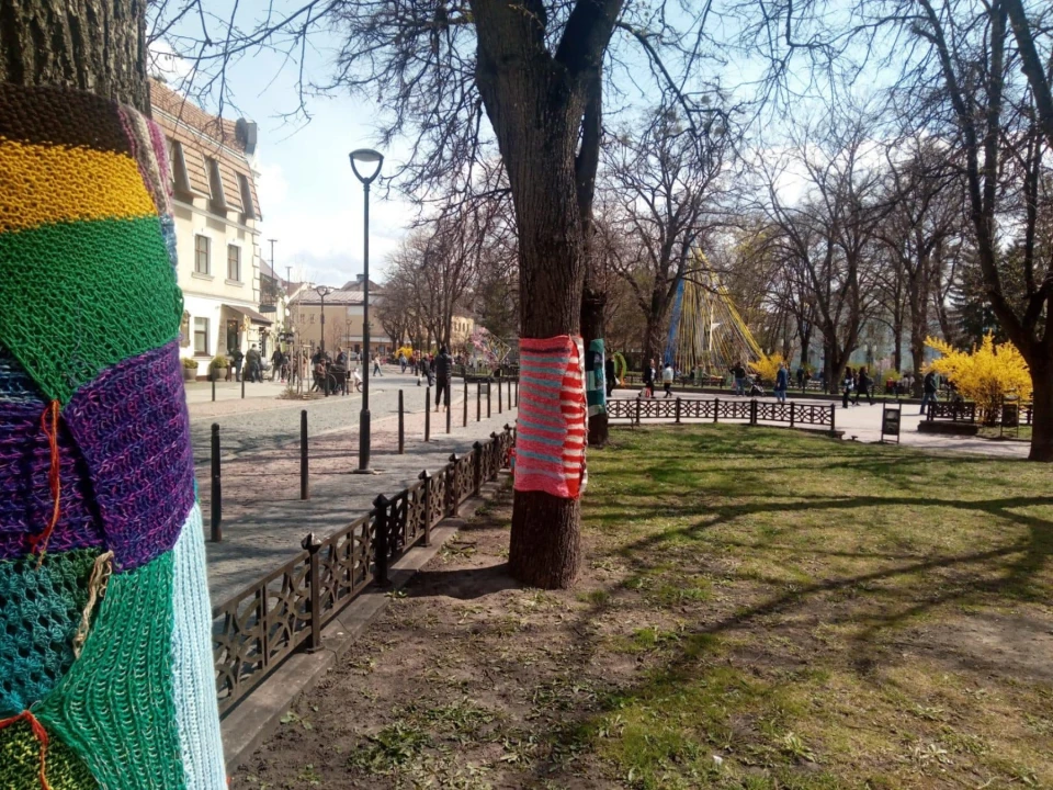шалики на деревах