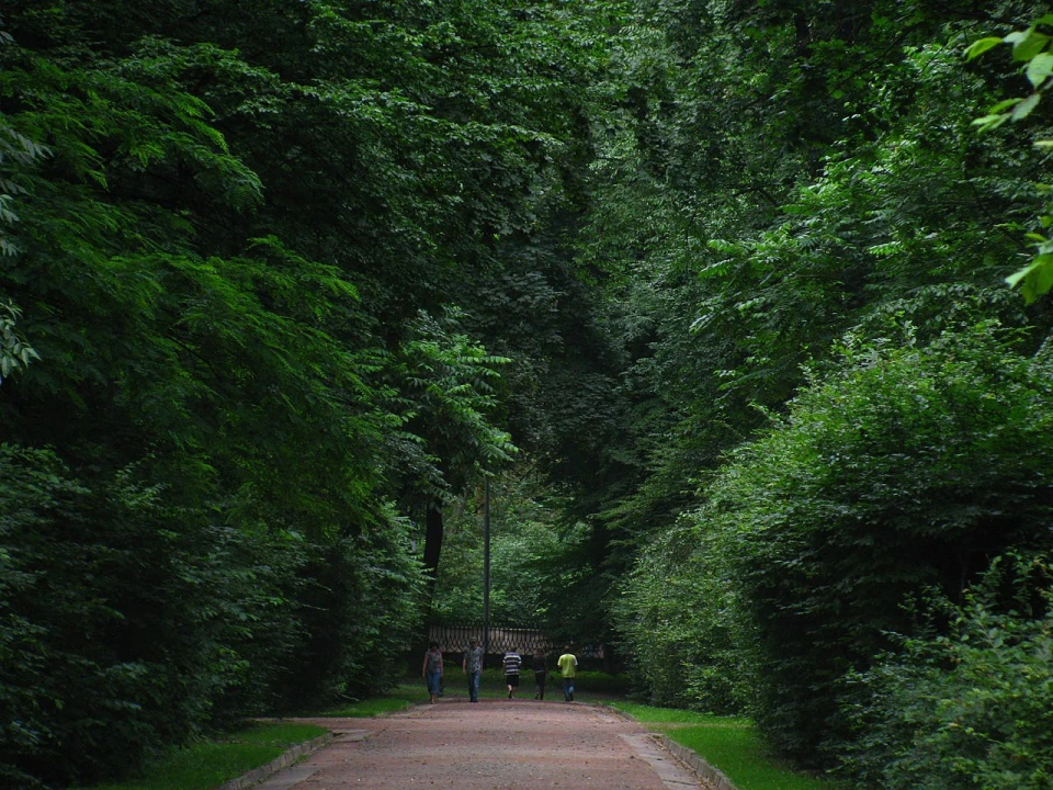 Стрийський парк