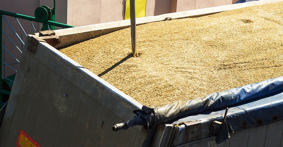 зерно хліб пшениця елеватор