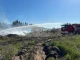Пожежа в Зоні відчуження