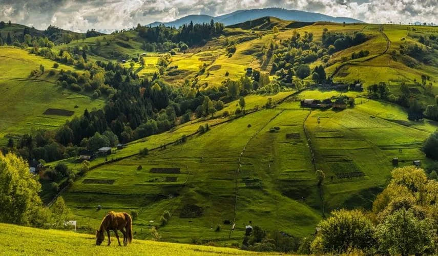 Буковель