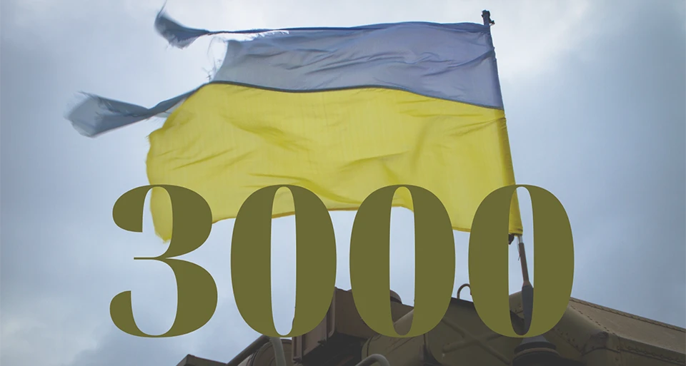 3000 днів