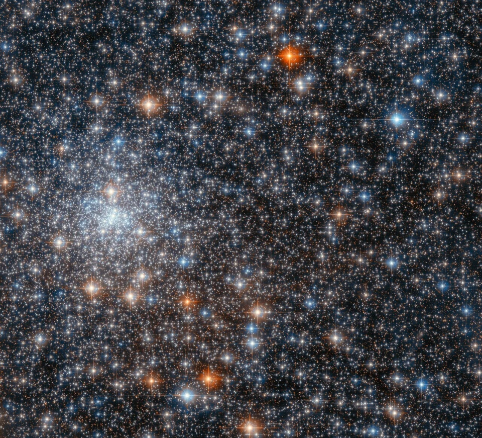 Кульове скупчення NGC 6558 у сузірʼї Стрільця