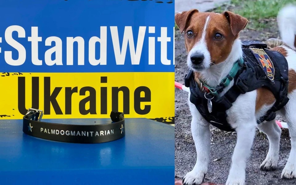 На фото награда, которую вручили Патрону