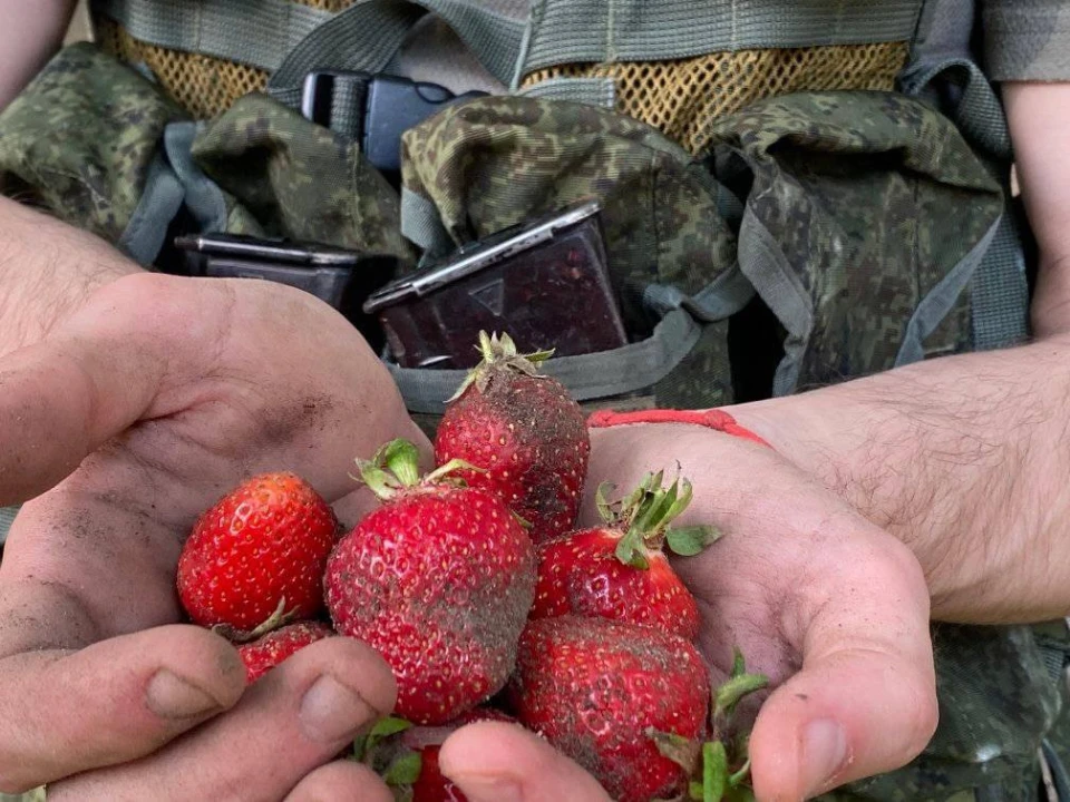 На Херсонщині окупанти намагаються найнятися до місцевих на збір полуниці