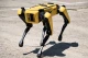 На фото робот Spot от Boston Dynamics для разминирования
