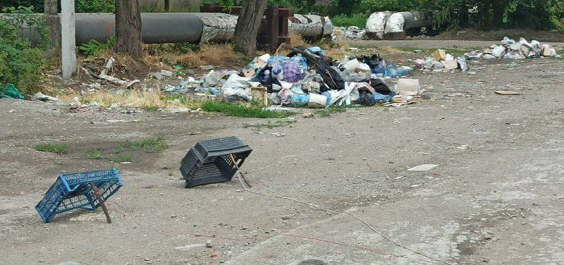 Пастки для голубів у Маріуполі