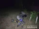 ДТП