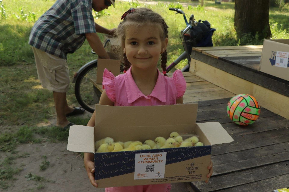 курчата