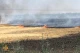 Пожежа на полі у Новосеменівці, Дніпропетровщина