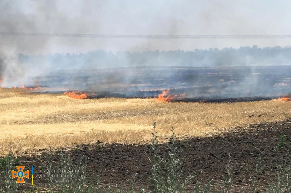 Пожежа на полі у Новосеменівці, Дніпропетровщина