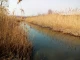 Річка Кальчик