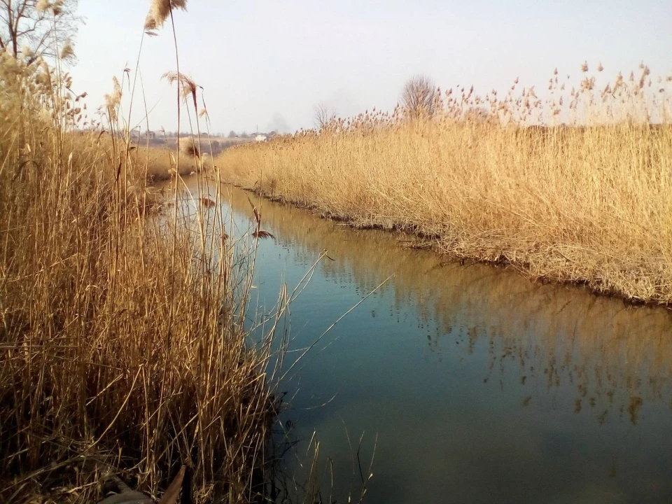 Річка Кальчик