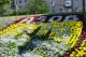 Квіткове панно на честь Азову, Київ