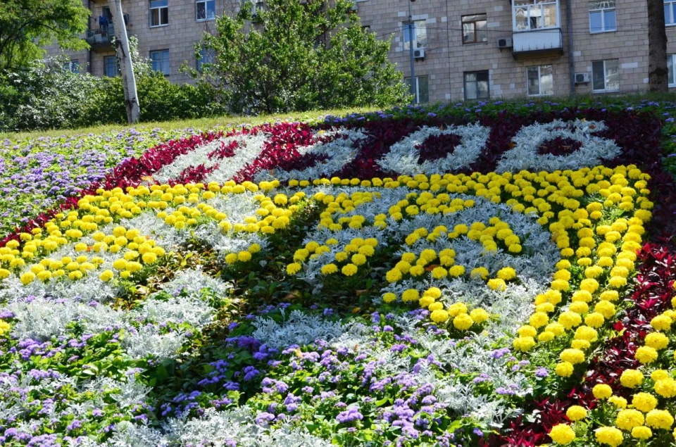 Квіткове панно на честь Азову, Київ