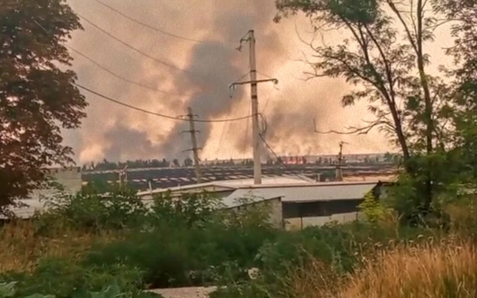 На фото пожежа поблизу Маріуполя
