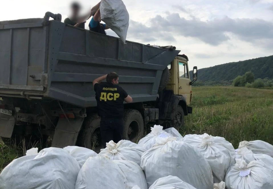 Вилучені коноплі