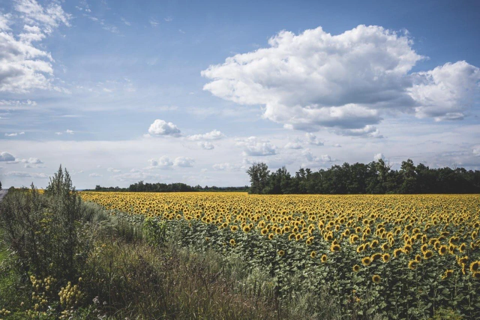 Перевозив урожай і підірвався на міні: на Сумщині загинув фермер Іван Дейнека