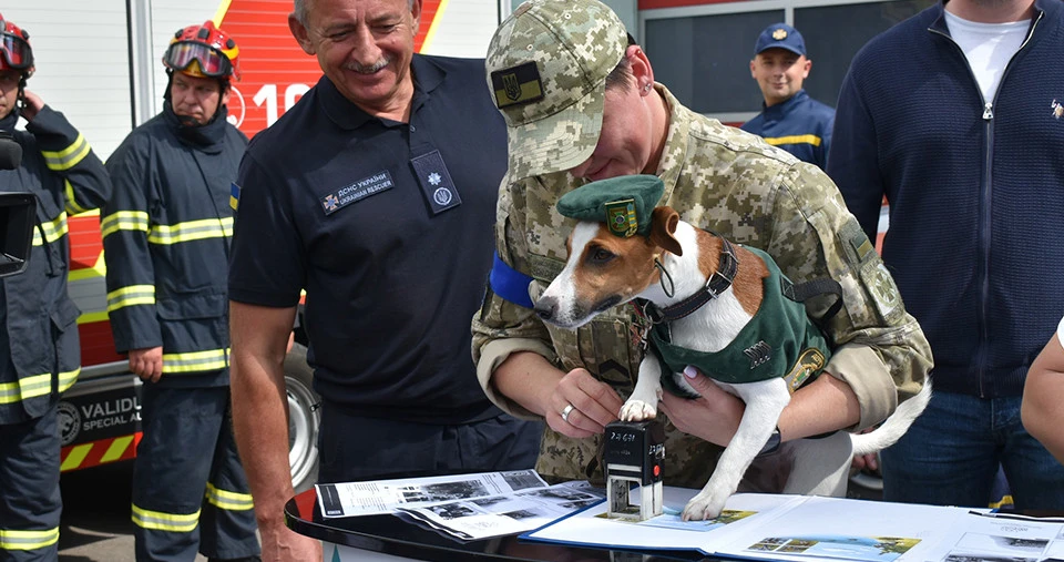 пес Джек