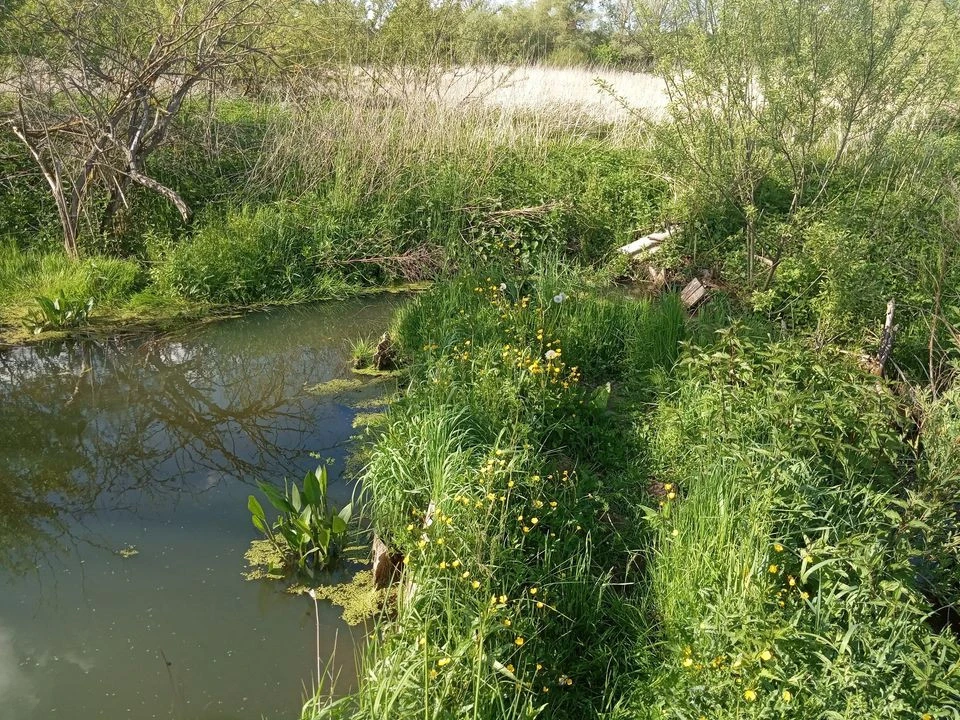 річка Красносілка