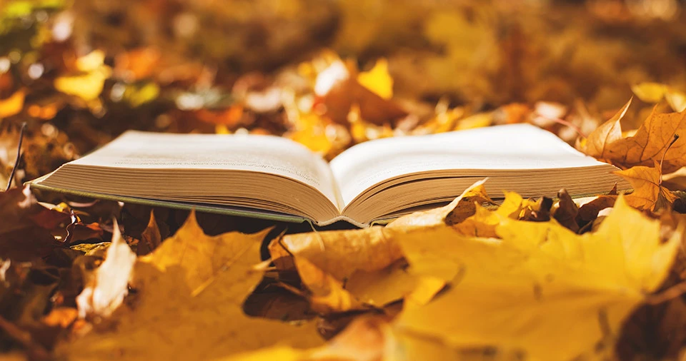 осінні книжки