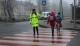 "Жовтий добродій"