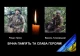 Роман Пулик і Василь Тичковський