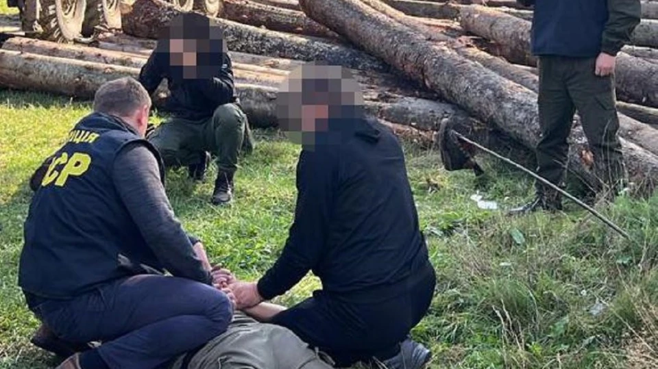 ДБР затримали лісничого на отриманні хабаря