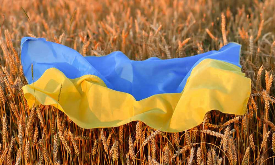 Українці з вибору