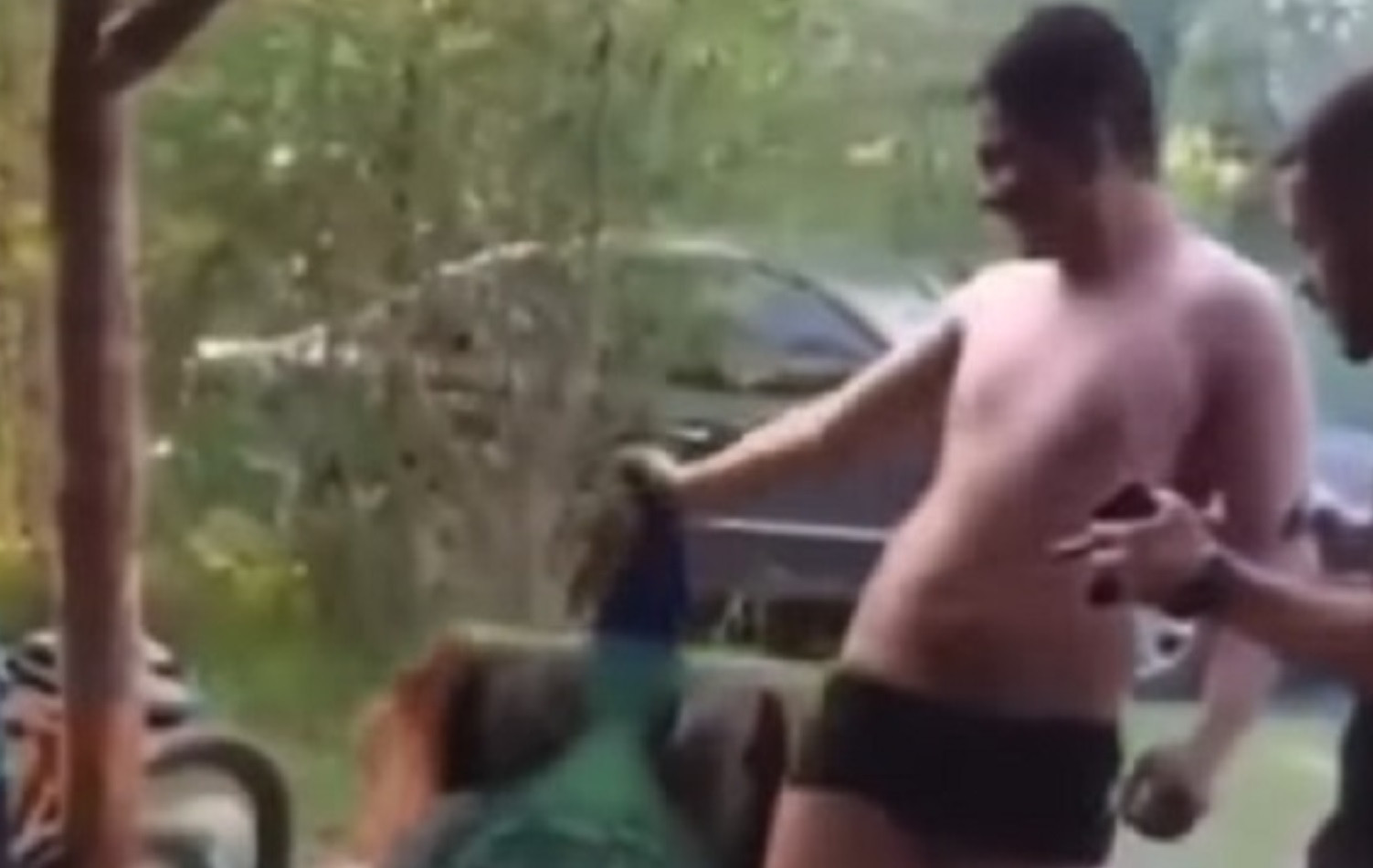 Вбивство павича