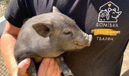 Львів'ян кличуть на толоку