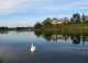 Свірзький замок