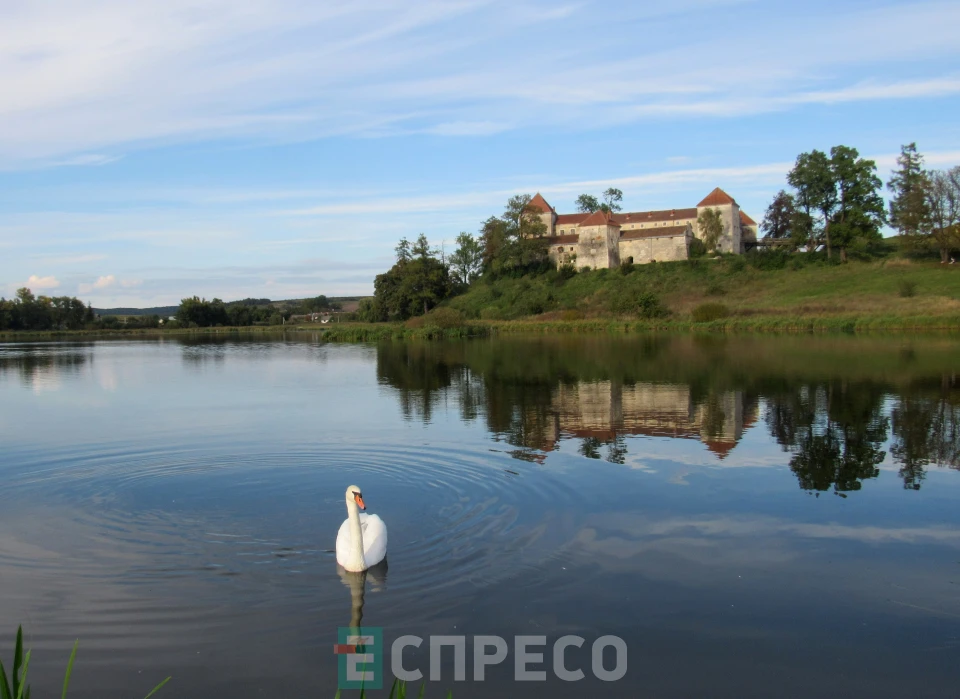 Свірзький замок