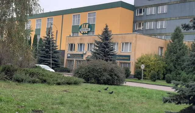 бурштин україна