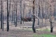 Втрати РФ Втрати РФ
