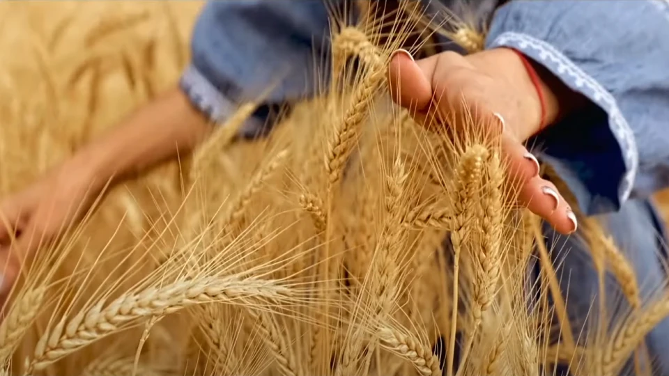 Запорізький гурт "Хорта"