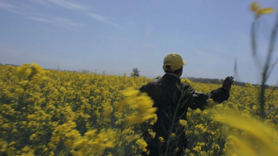 На фото: кадр з фільму "Назовні"