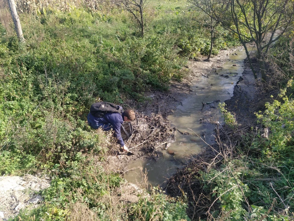 Річка Спасівка