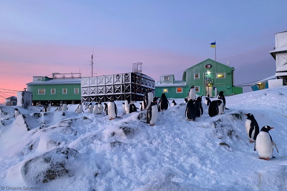 Антарктична станція "Академік Вернадський"