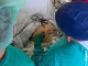 На Волині провели унікальну операцію