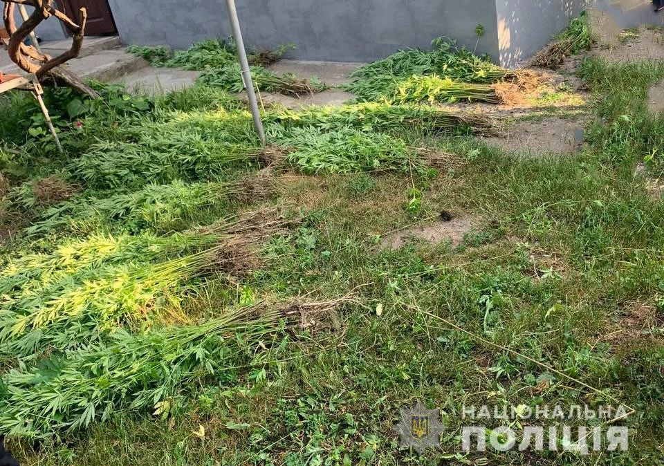 наркотики