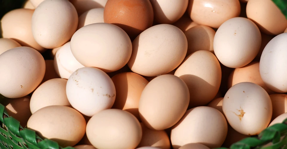 курячі яйця
