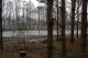 стіна біля білоруссі