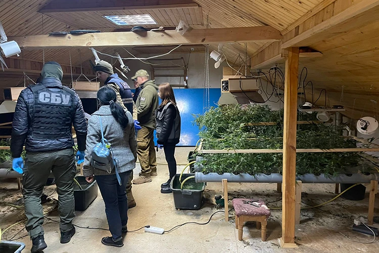 наркотики на тернопільщині