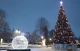 ялинка у Калуші