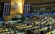 Організація Об'єднаних Націй, ООН Організація Об'єднаних Націй, ООН